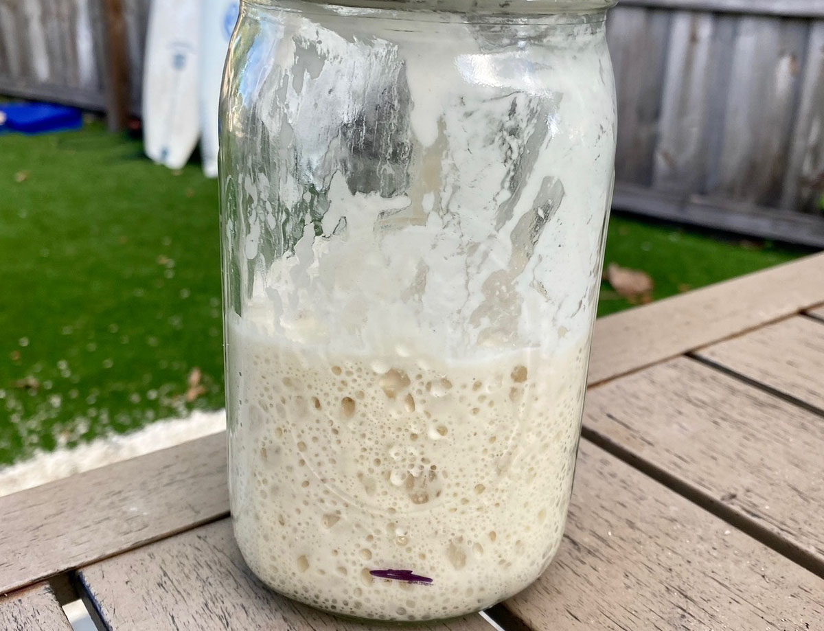 Revive Your Dried Sourdough Starter