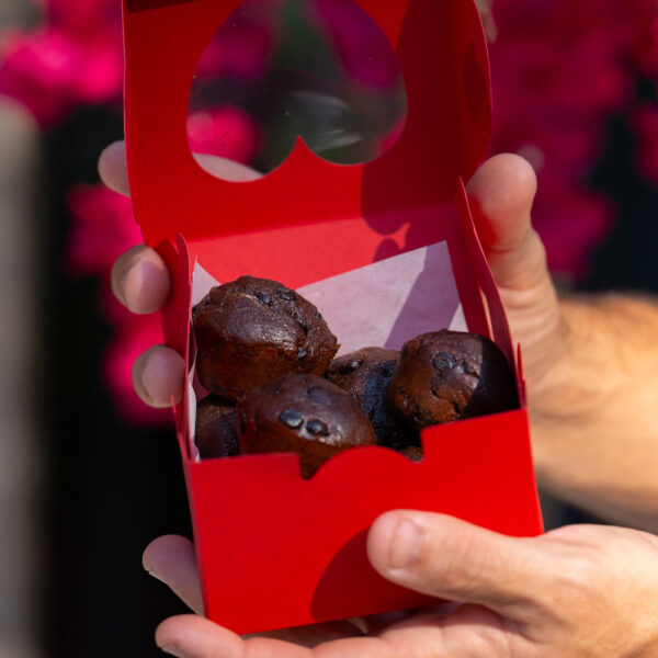 sourdough Brownie Bites box